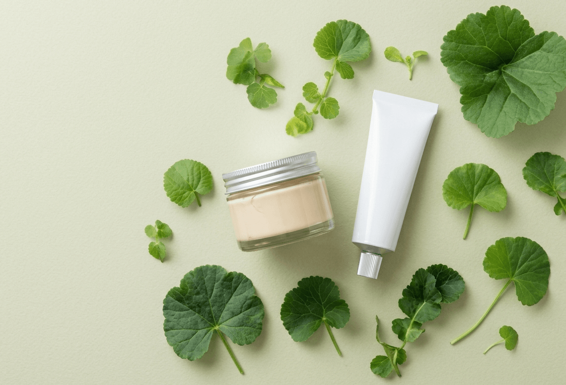 Centella asiatica: benefici, usi e cosa sapere davvero